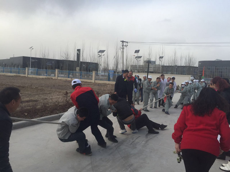 銀川伊百盛生物工程有限公司 銀川伊百盛生物工程有限公司