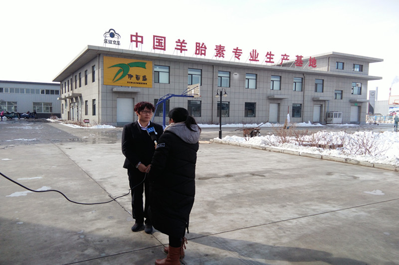 銀川伊百盛生物工程有限公司 銀川伊百盛生物工程有限公司