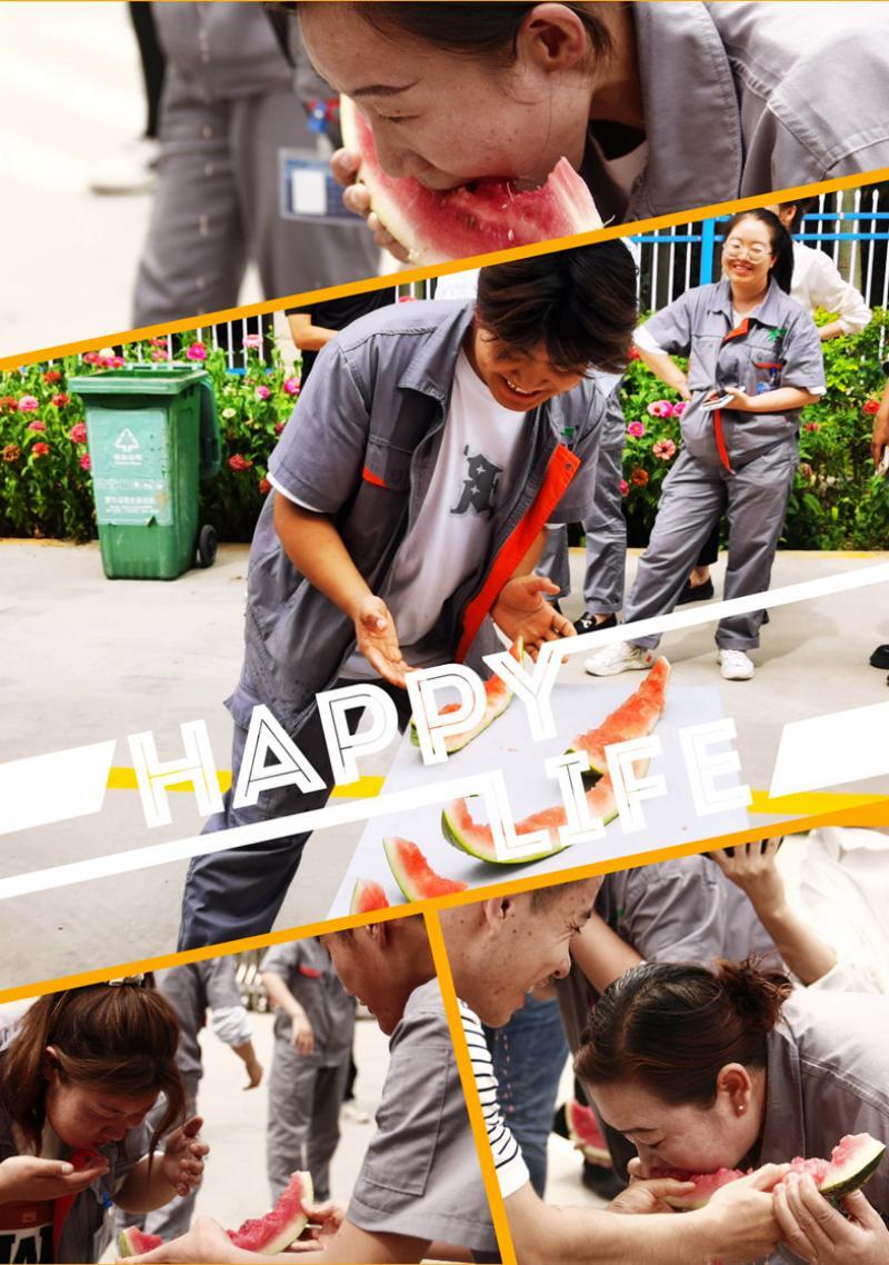 銀川伊百盛生物工程有限公司 銀川伊百盛生物工程有限公司