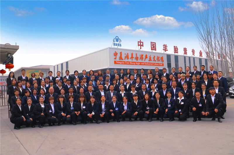 銀川伊百盛生物工程有限公司 銀川伊百盛生物工程有限公司