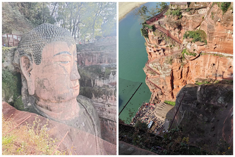 銀川伊百盛生物工程有限公司 銀川伊百盛生物工程有限公司