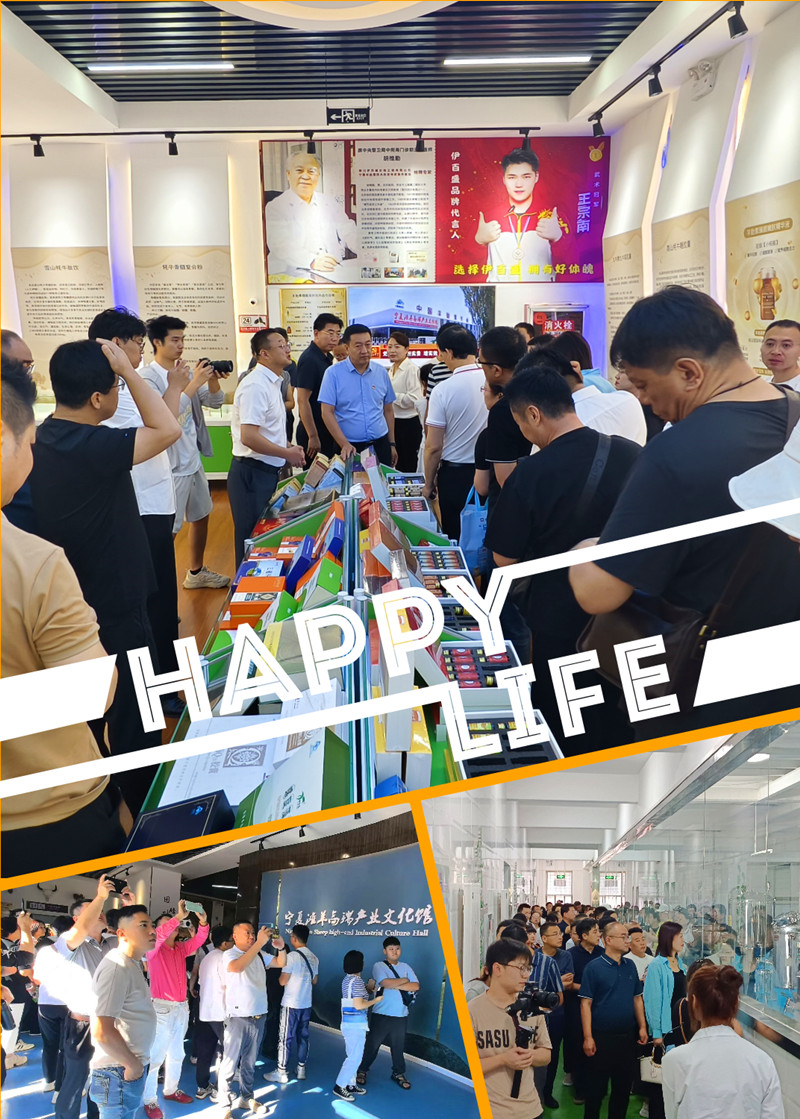 銀川伊百盛生物工程有限公司 銀川伊百盛生物工程有限公司