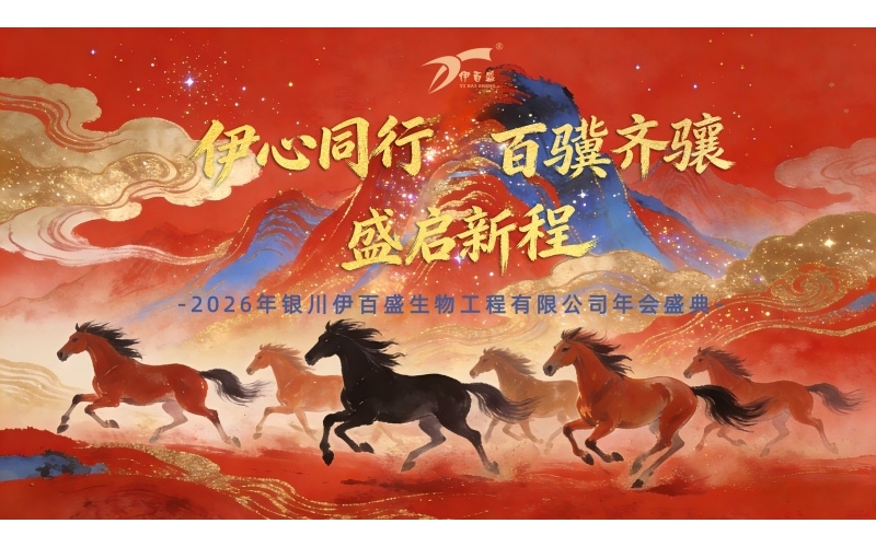 伊心同行  百驥齊驤  盛啟新程